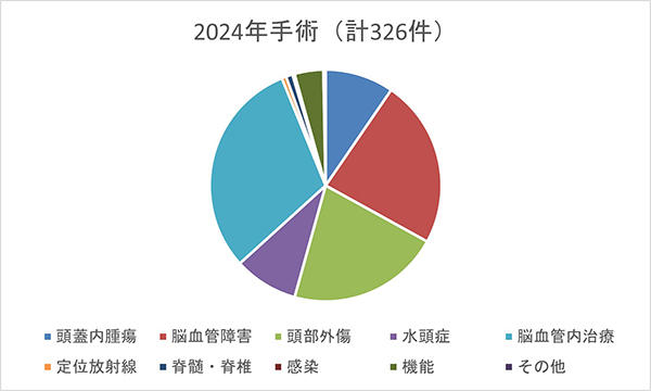 ２024年手術統計グラフ